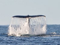 DSC 5811